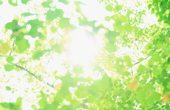 久留米で生活保護を受給されている方はご相談下さい。自己負担が０円のお葬式
